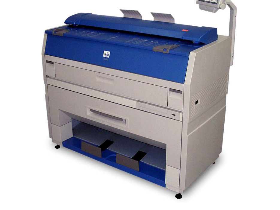 Kip 3101